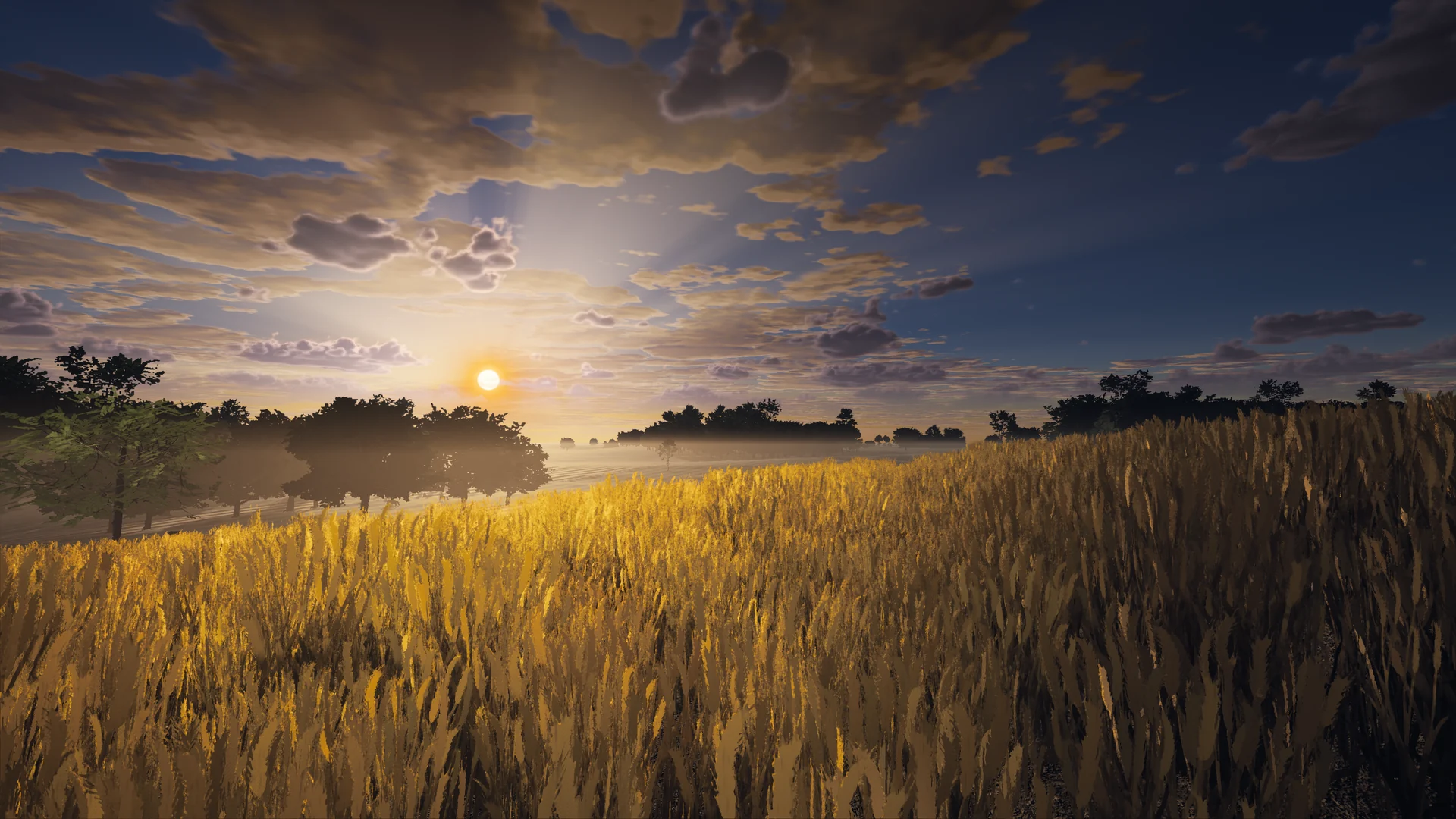 Harvest evening