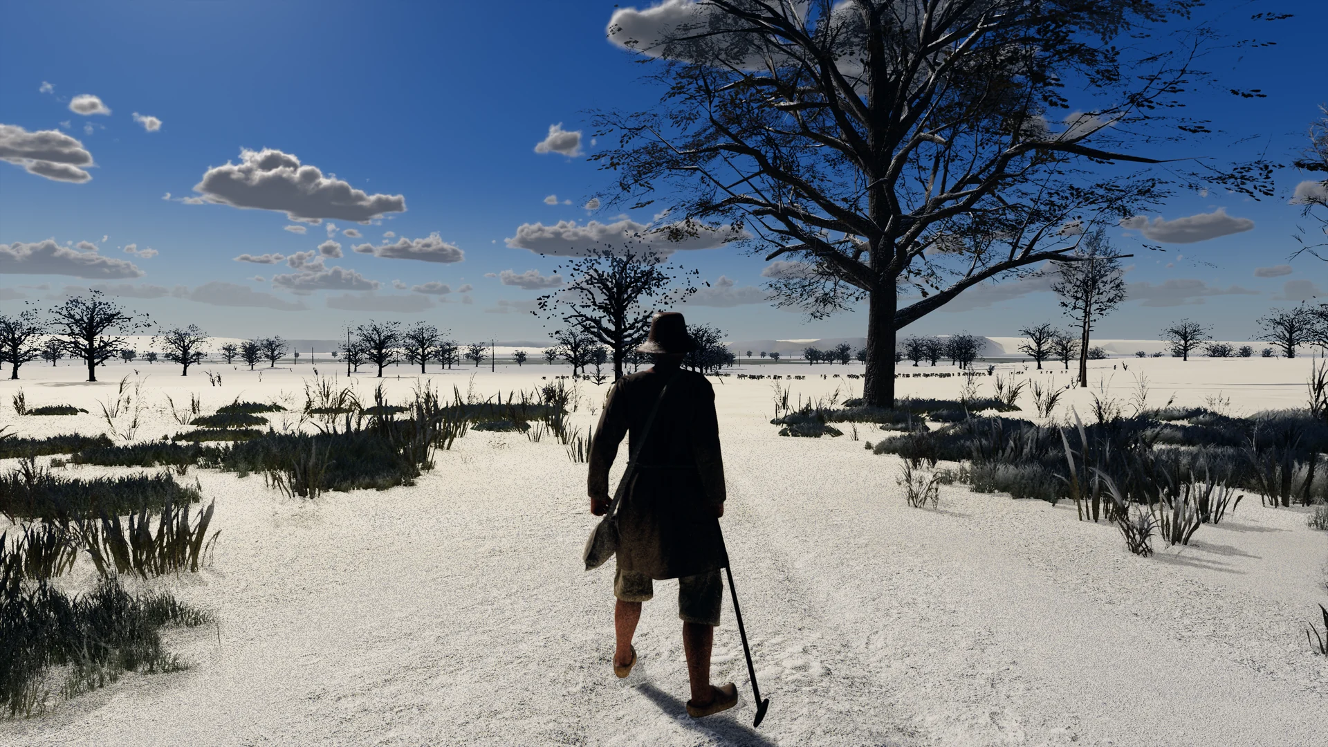 Winter lane