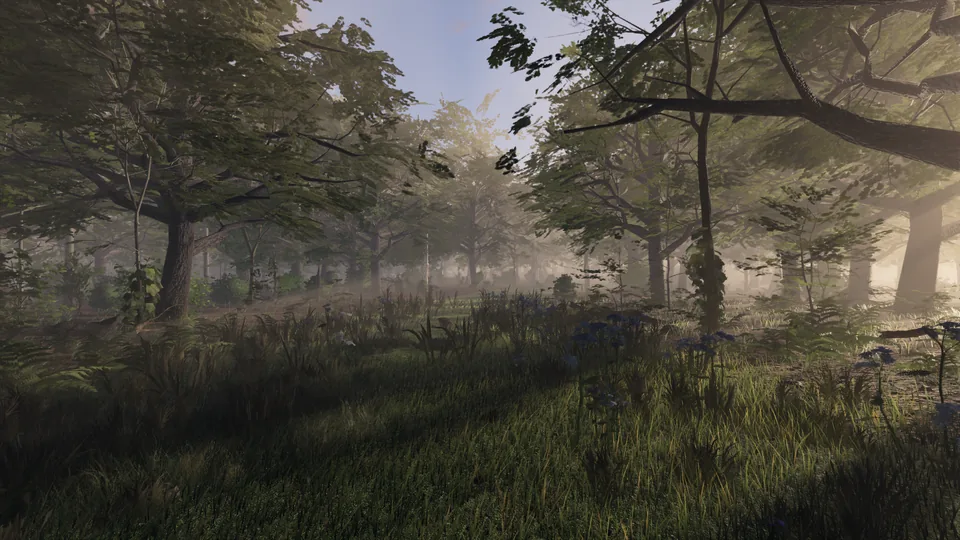 Morning haze drifting between old oaks along a forest ride
