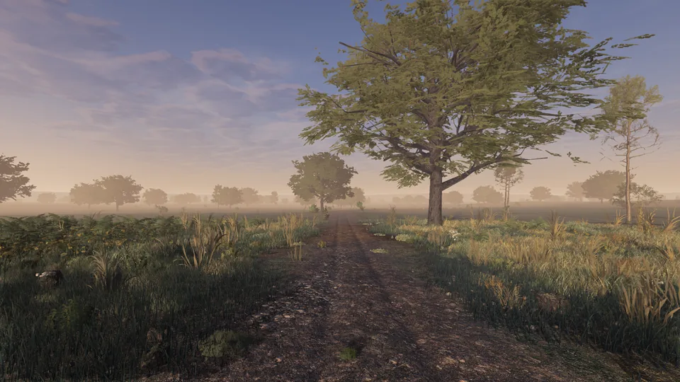 A cart track running past a lone oak on a hazy summer morning