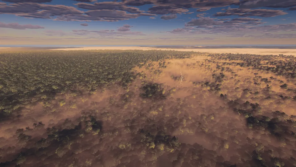 Dawn mist lying over a forest canopy that runs to the horizon